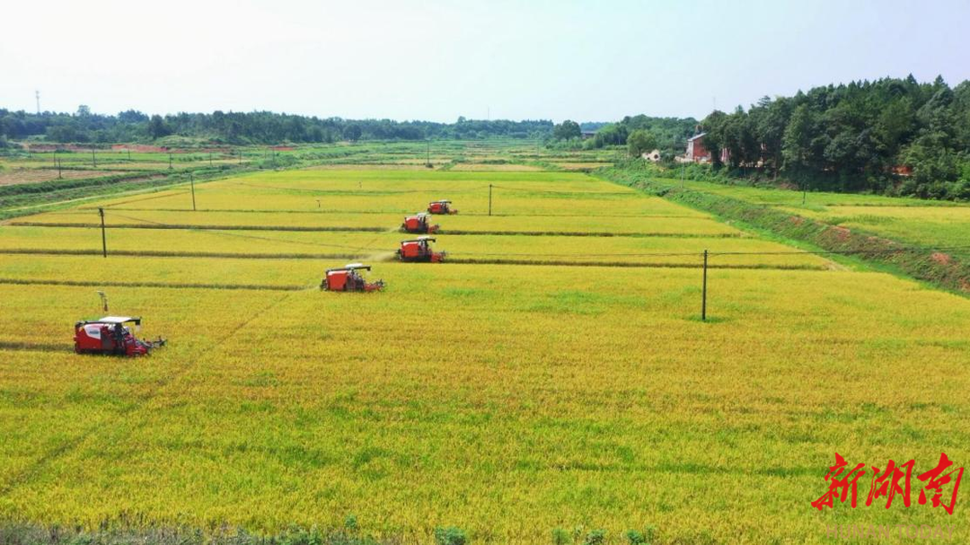 保险业协会发布《2023中国保险业社会责任报告》