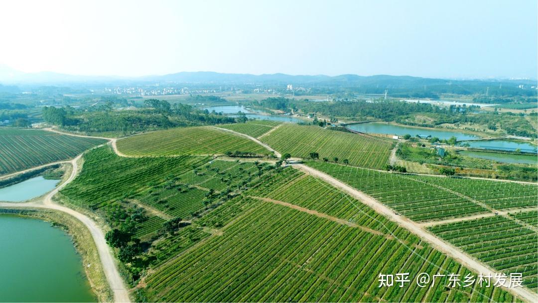 银河期货2024年白糖“保险+期货”项目启动培训会在广西宾阳县成功举办