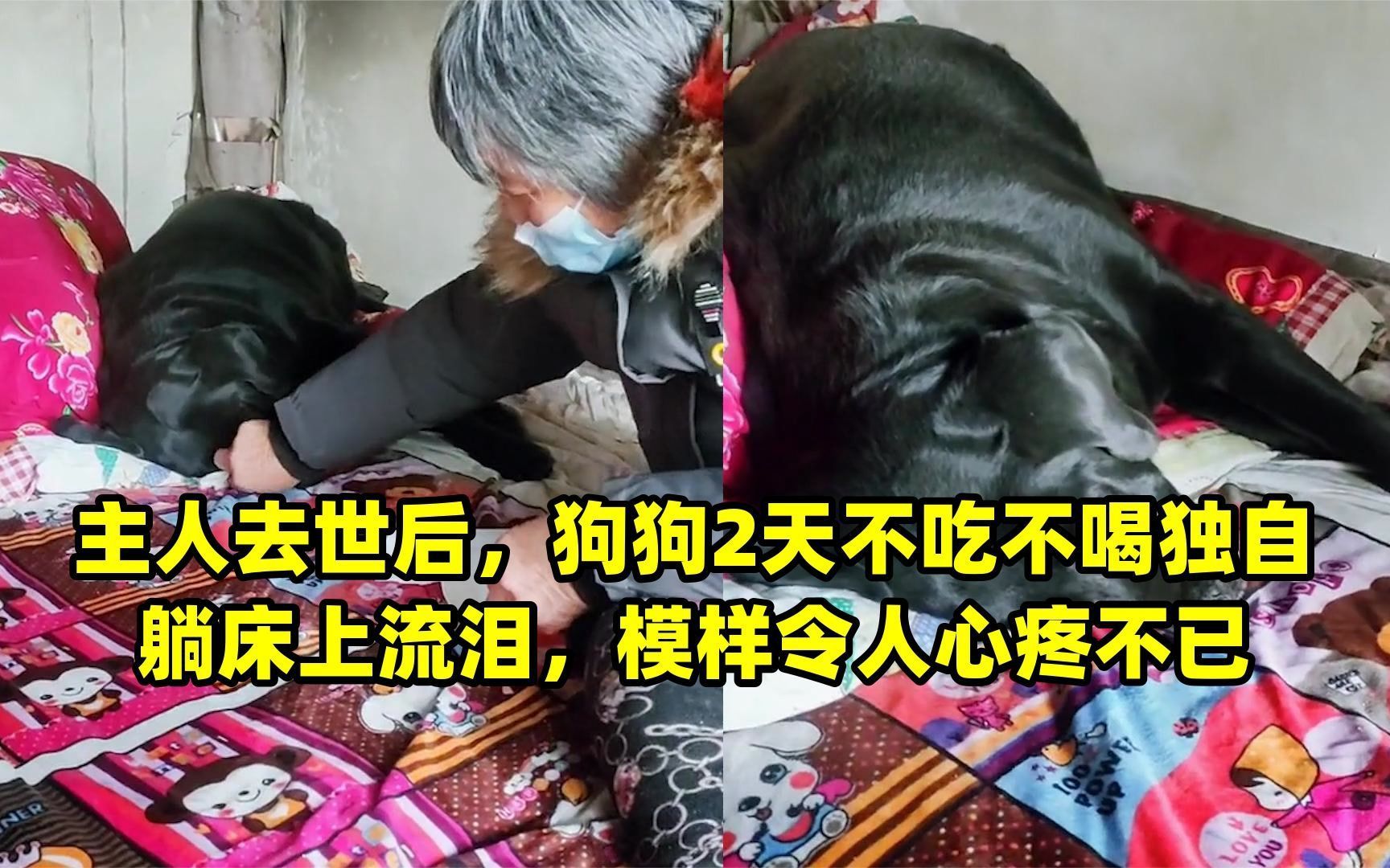 “黄金周”中的烟火气：“躺吃旅行”风潮助推，在线餐饮预订量增88%