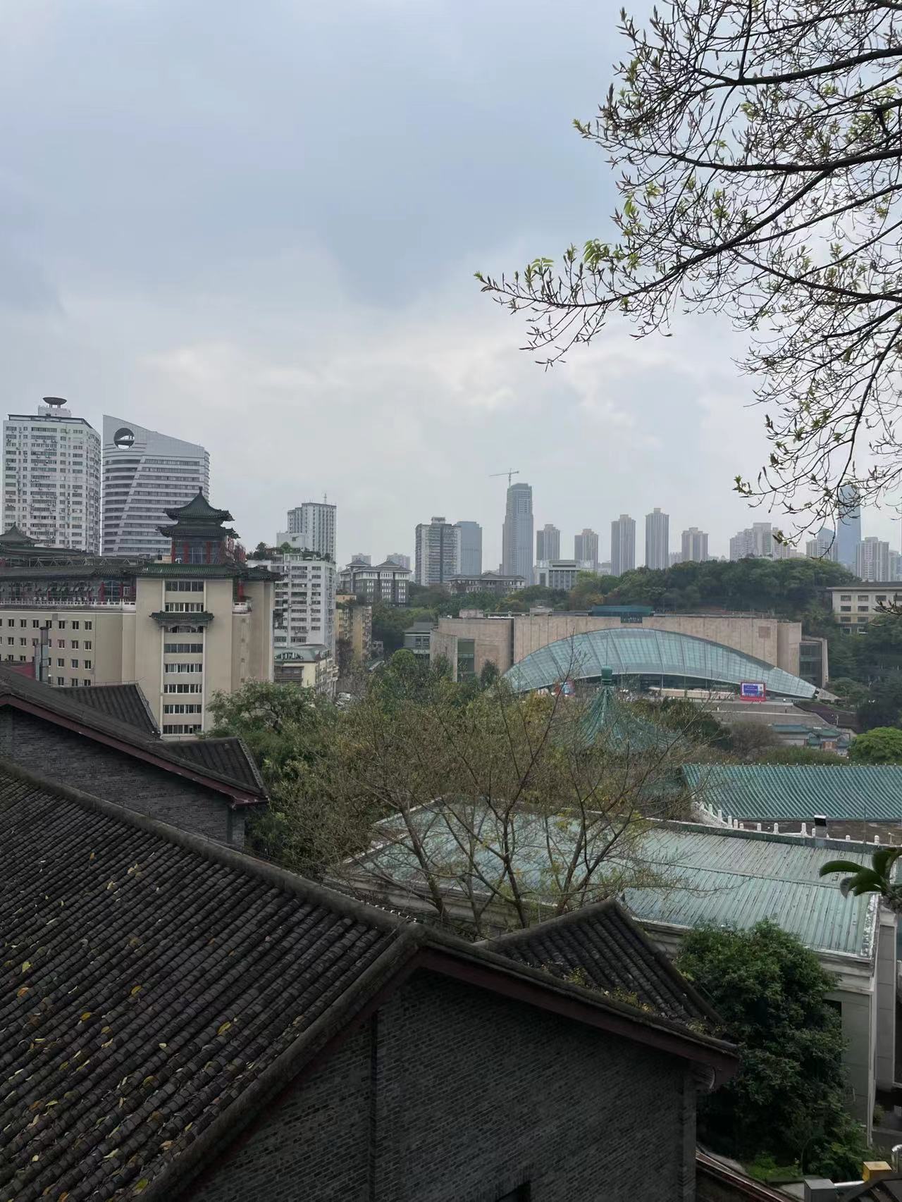 不远行也玩够 小众玩法激活本地经济：“十一”日均消费额同比2019年增长超五成
