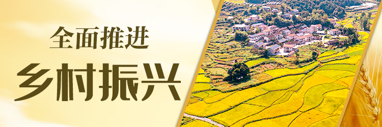 受权发布｜中共中央 国务院关于进一步深化农村改革　扎实推进乡村全面振兴的意见