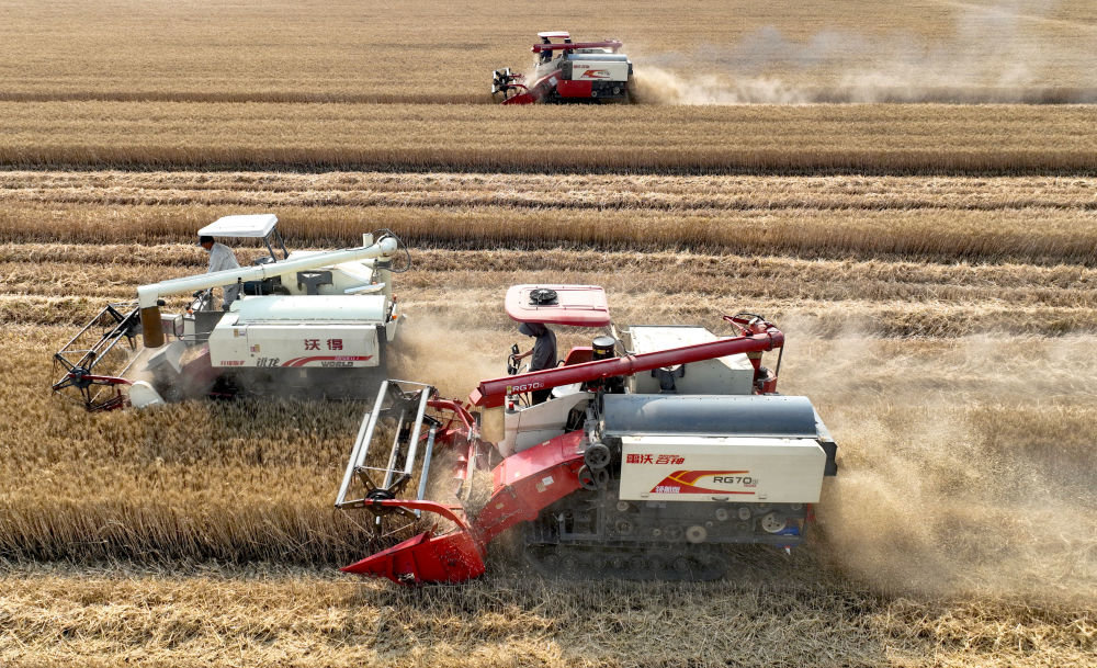 新华全媒+丨风吹麦浪好“丰”景——多地小麦机收一线见闻