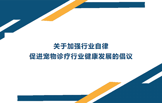 中国汽车工业协会发布关于维护公平竞争秩序、促进行业健康发展的倡议