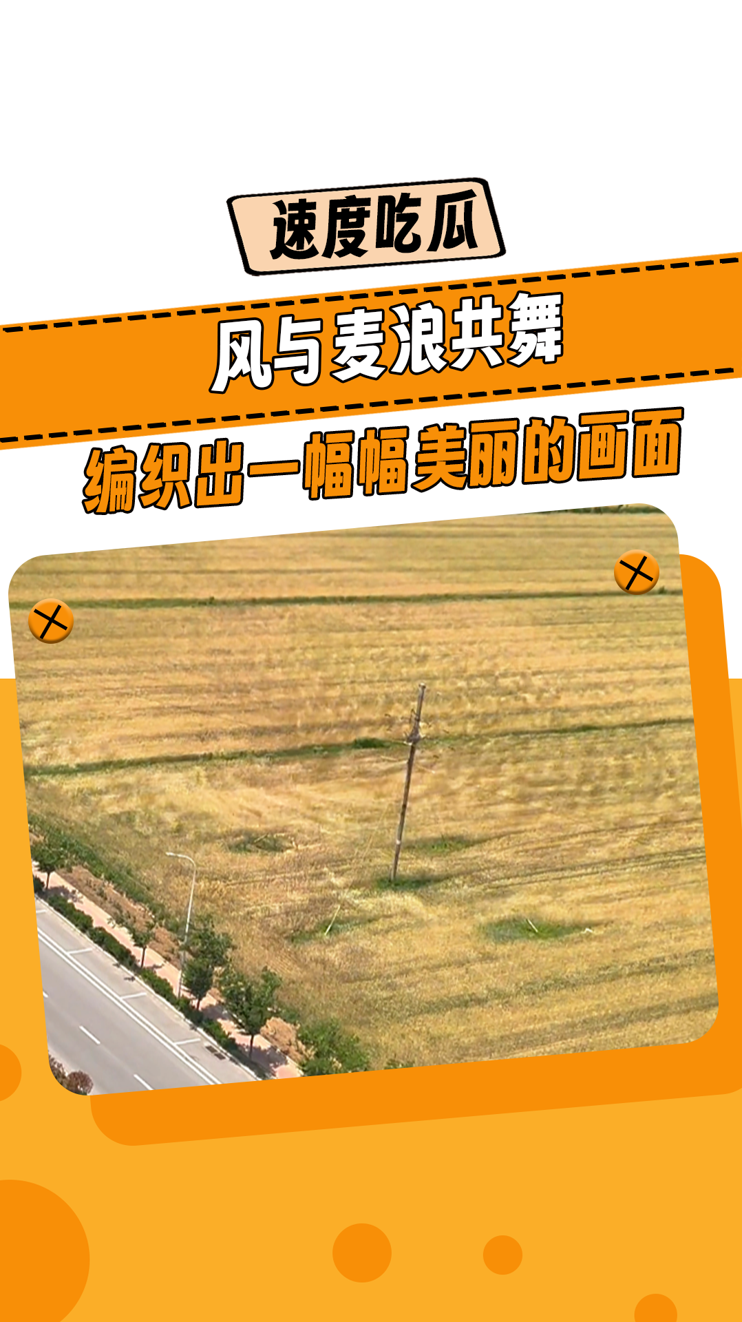 新华全媒+丨“中原粮仓”麦收过半