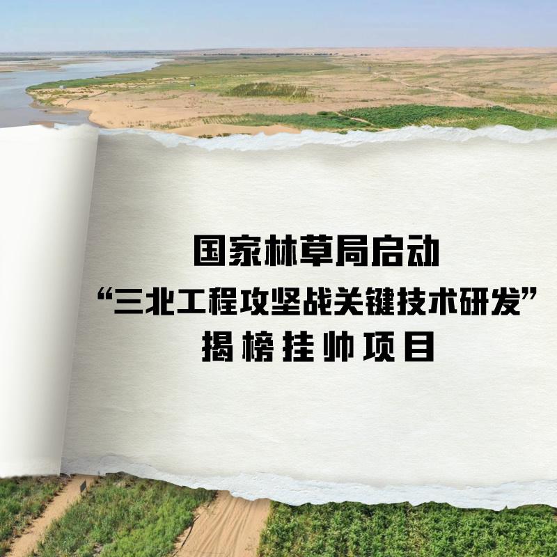 大漠深处绿意渐涌——“三北”工程攻坚战成效综述