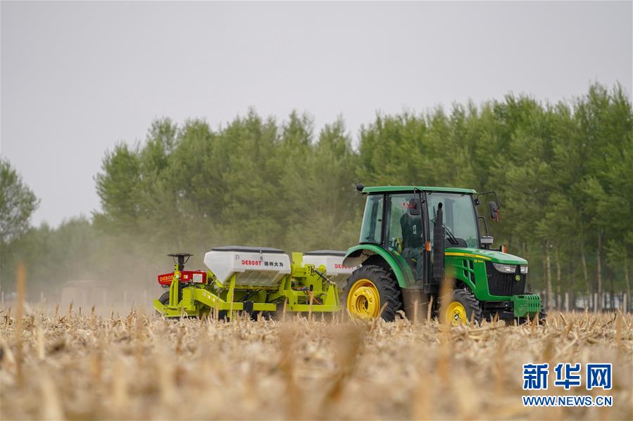 习近平总书记关切事｜中华文化瑰宝“向新记”