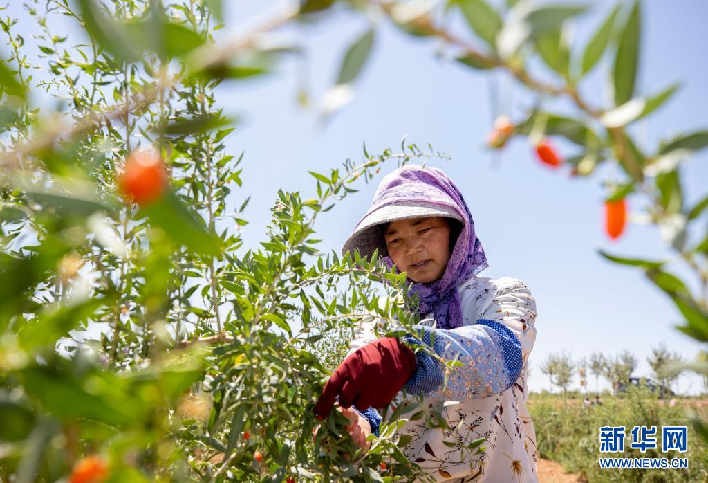 习近平总书记关切事|中华文化瑰宝“向新记”