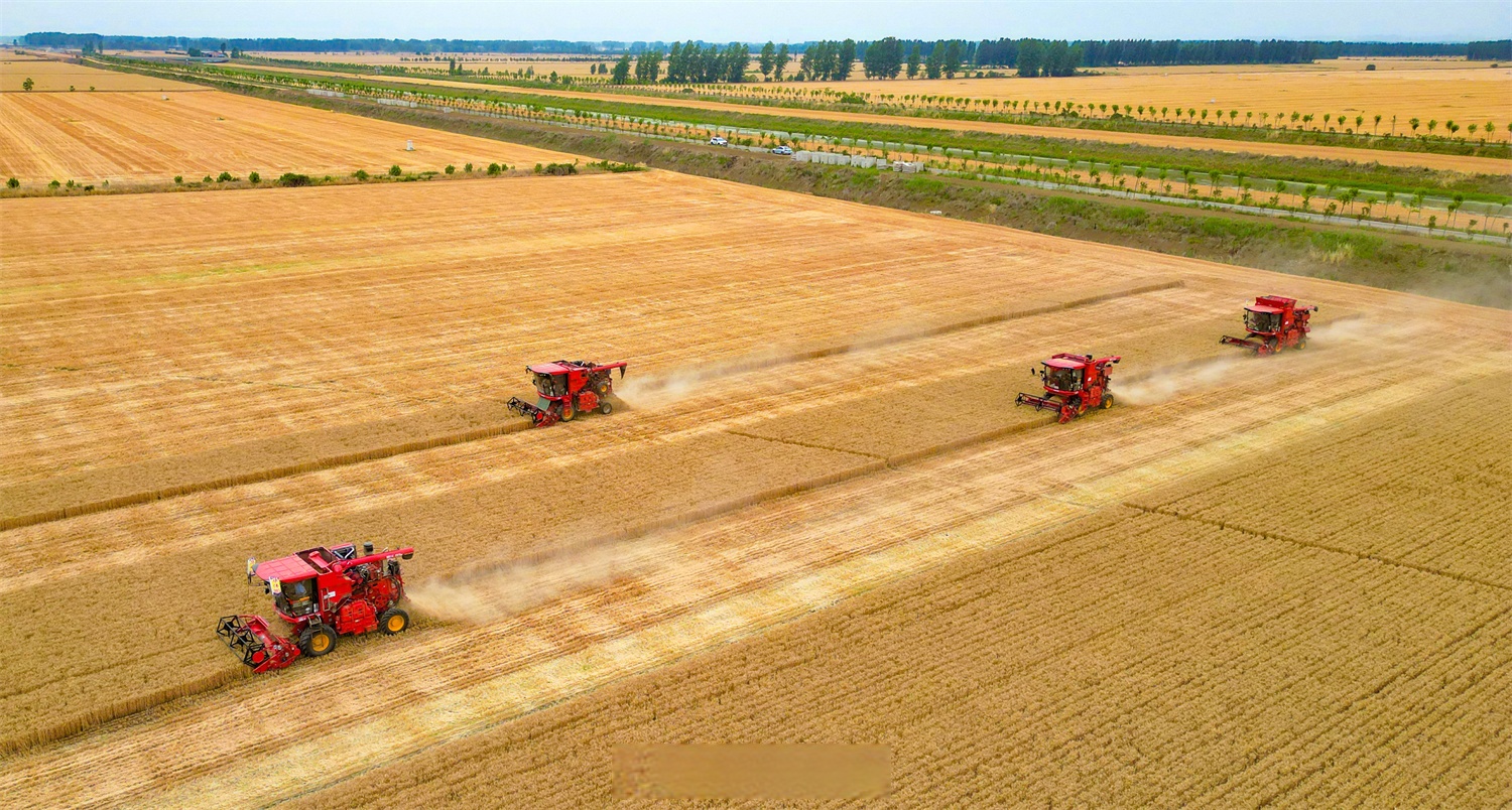 西部黄金收购事宜引市场关注