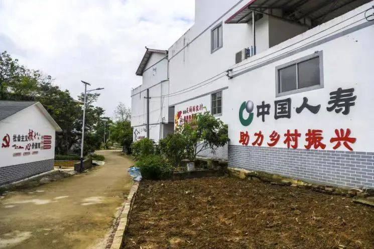 保险业发力推进乡村全面振兴
