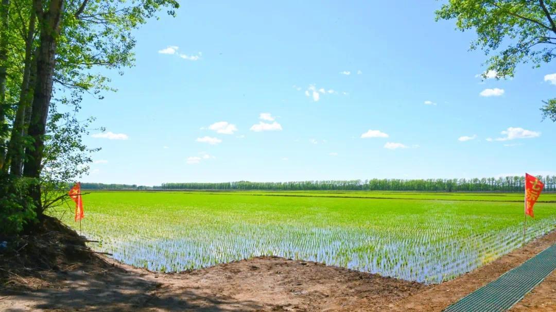 皖通高速成功增发4998万股H股 开创行业先河