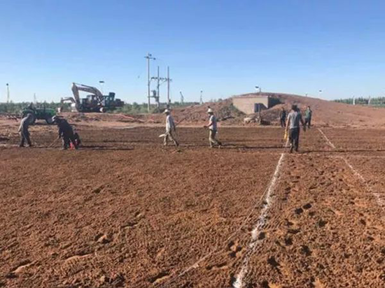 蒙草生态中标2080万元“三北”工程生态治理项目