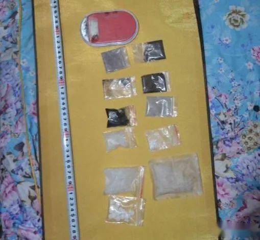 全国移民管理机构上半年破获毒品案件205起