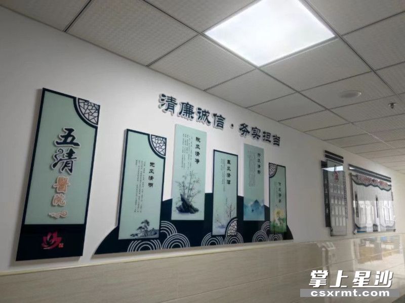 华泰集团：清廉赋能 以党建护航企业高质量发展