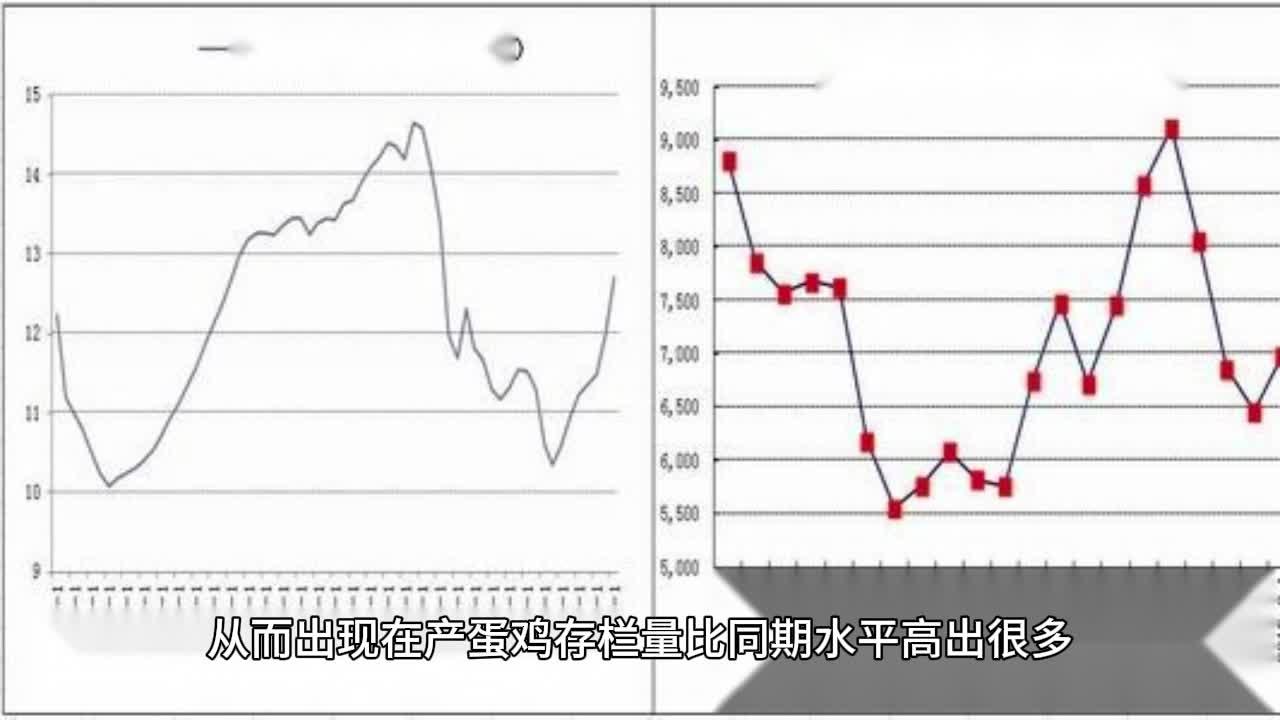 国投期货黄军书：创新期货服务模式 为实体经济注入发展新动能