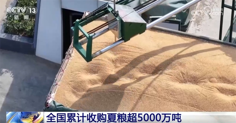 挖潜“无形粮田”——山东全链条节粮减损观察