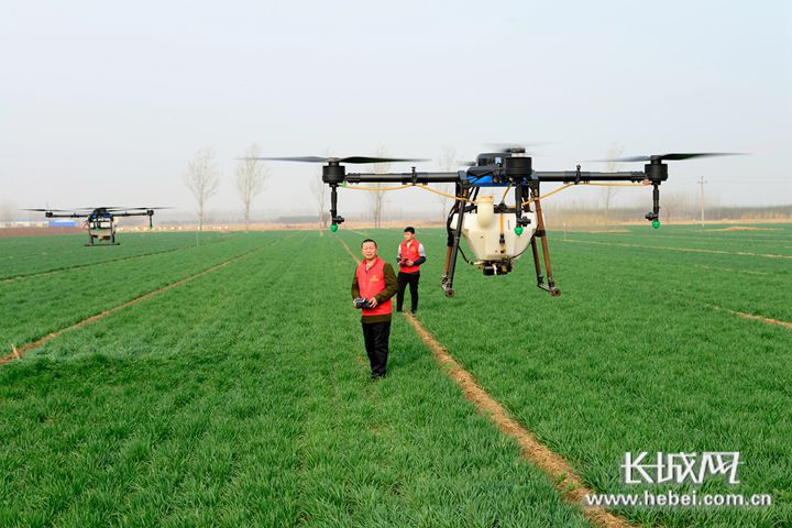 格林大华期货王骏：衍生品市场创新助力农业风险管理