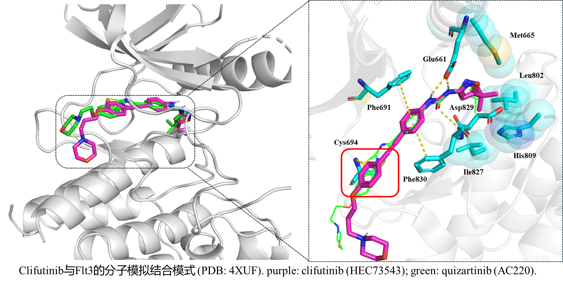 东阳光药发布HEC智能药物发现平台 提升新药研发效率