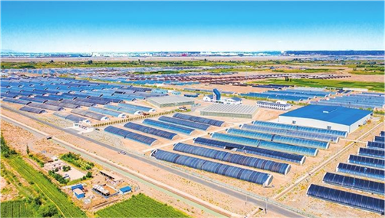 新时代中国调研行之文化中华｜悠悠文脉续华章 白山黑水谱新篇