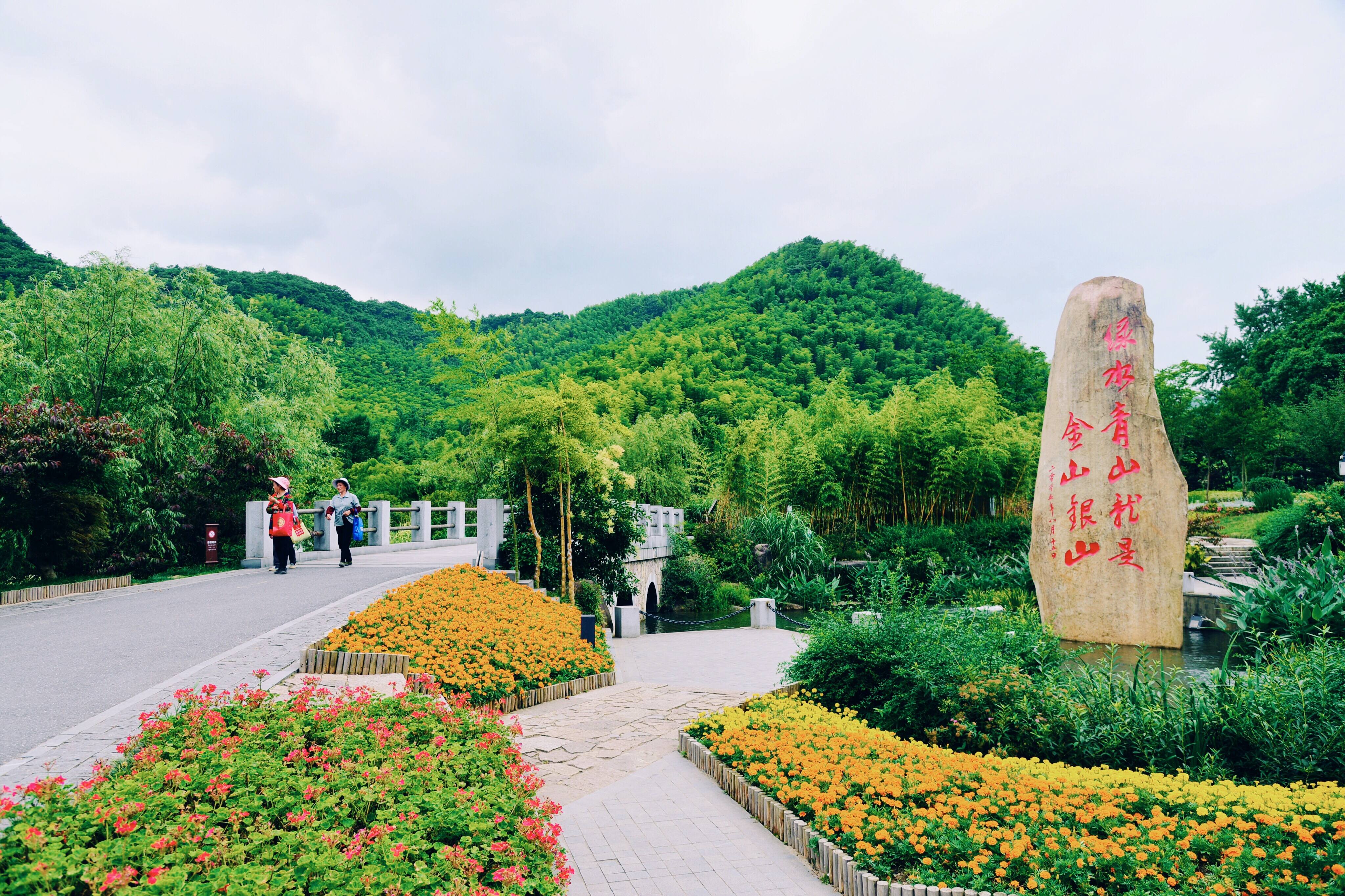 学习手记｜改善生态环境就是发展生产力——读懂“两山”理念的辩证思维