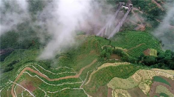 活力中国调研行丨“以绿生金”造就“亿元村”——重庆奉节绿色发展见闻