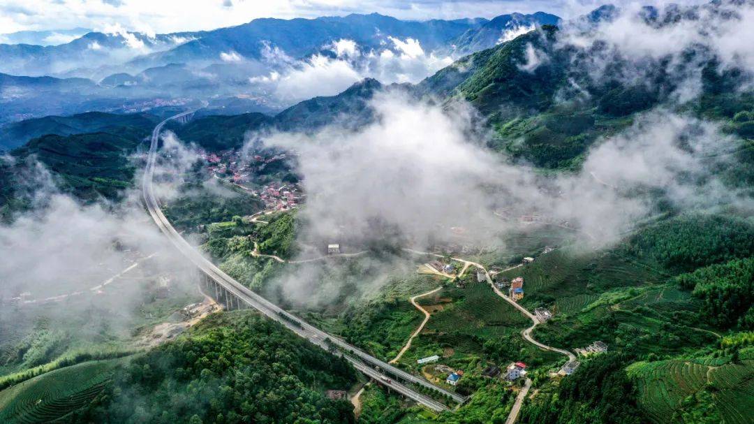 微视频丨青山作答 绿水回响