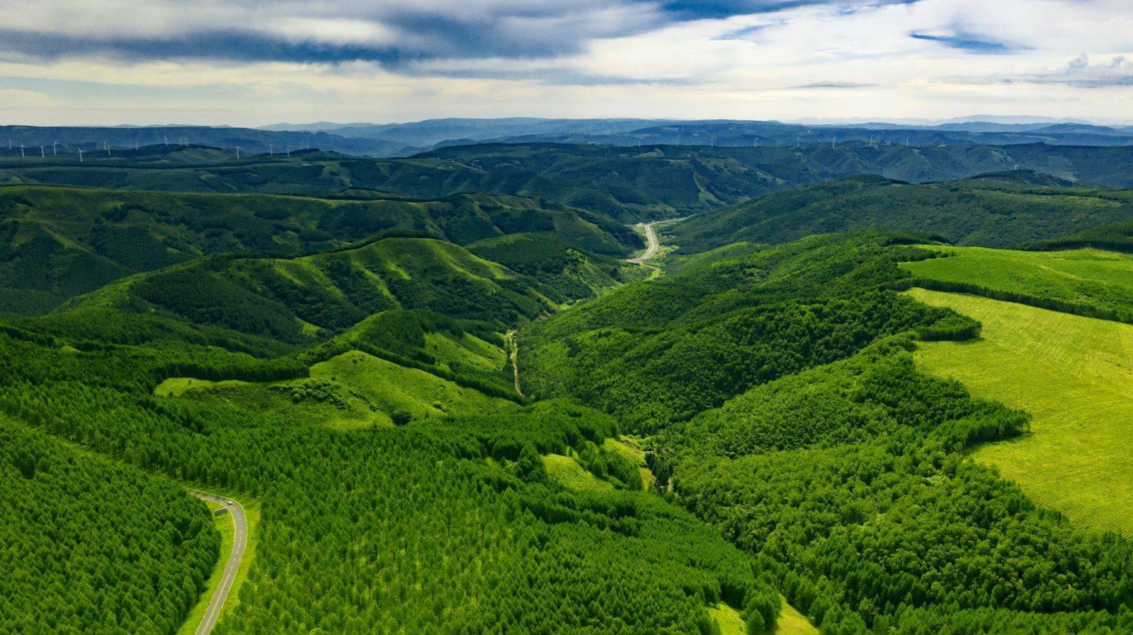 江苏银行业上半年新增绿色贷款8830亿元