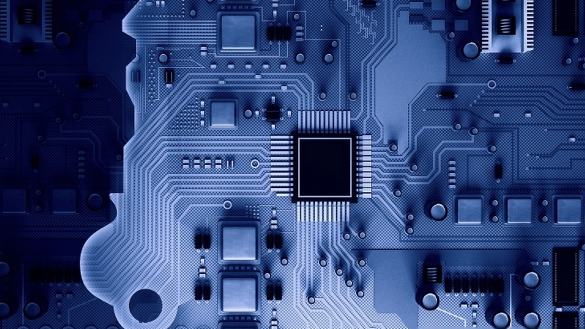 仙乐健康:上半年净利润1.61亿元 积极推进结构优化与全球拓展