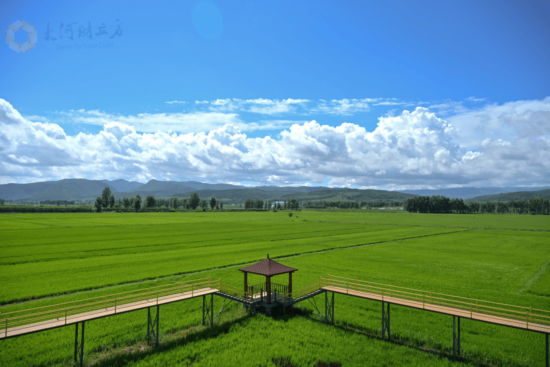 活力中国调研行｜一块煤炭的绿色“变形”记
