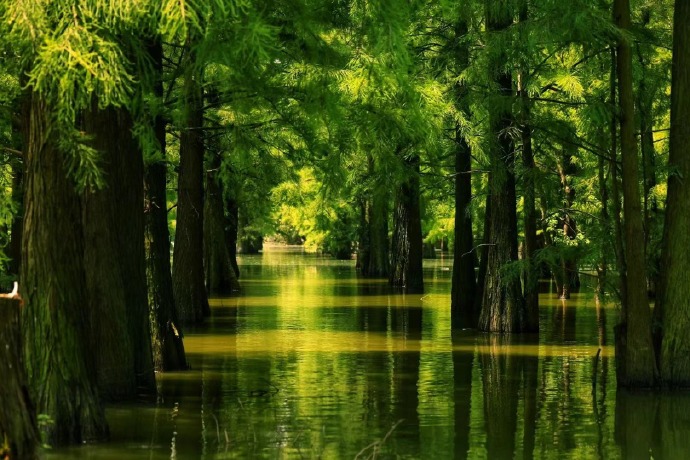 活力中国调研行|一块煤炭的绿色“变形”记