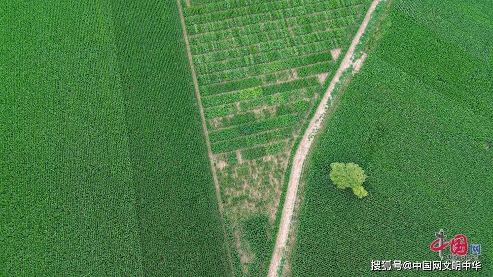 活力中国调研行|一块煤炭的绿色“变形”记