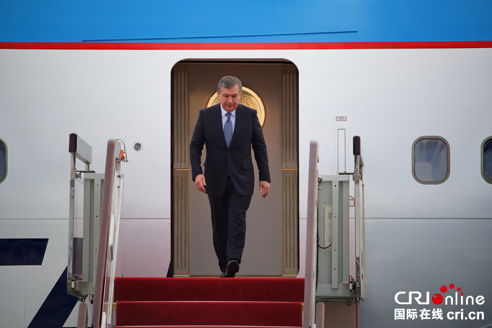 上合组织天津峰会丨习近平会见白俄罗斯总统卢卡申科