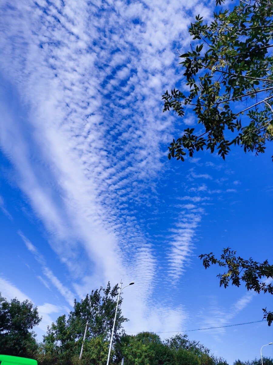 心相近|守护和平的蓝天——追寻美国飞虎队与中国人民共同的抗战记忆
