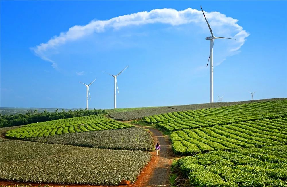 心相近|守护和平的蓝天——追寻美国飞虎队与中国人民共同的抗战记忆