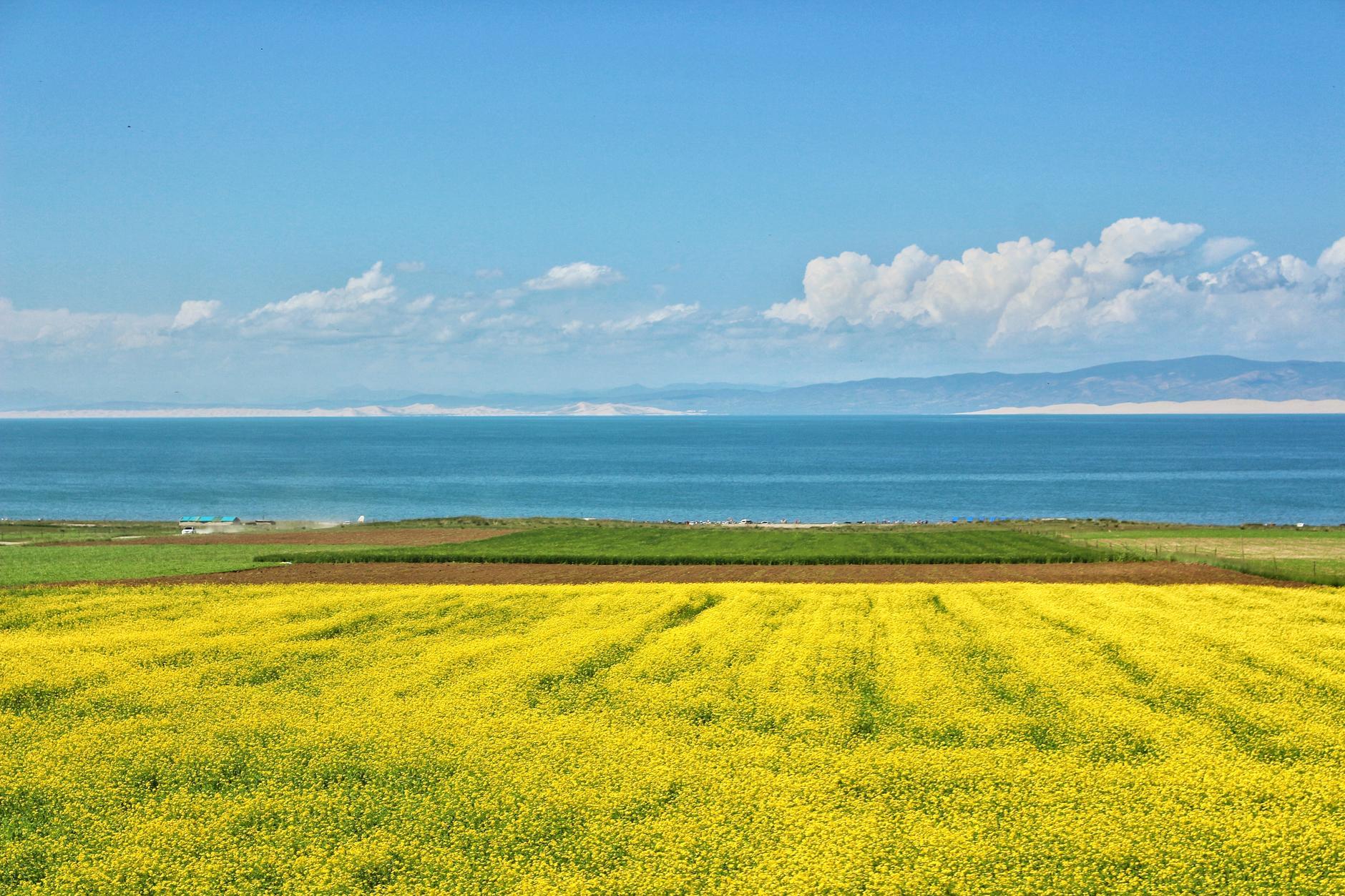 心相近｜从蓝天到戈壁——回望一条穿越烽火的国际“生命线”