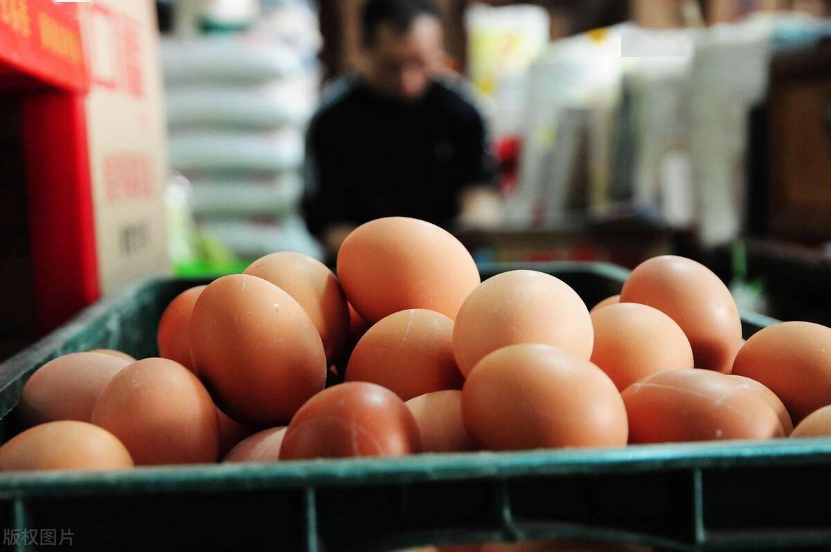 供应压力仍存 蛋价短期反弹空间或有限
