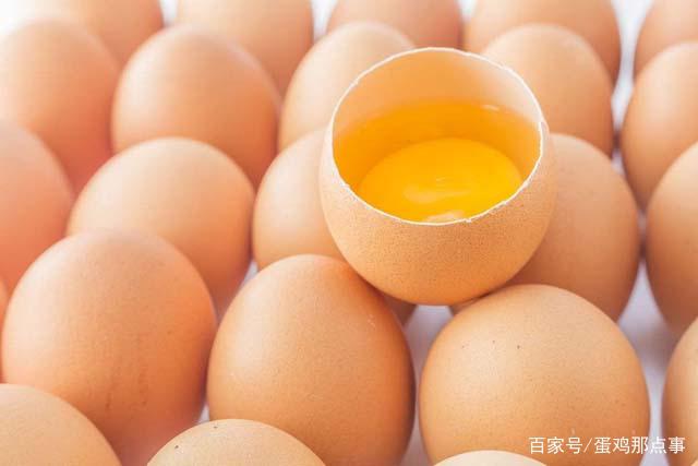 供应压力仍存 蛋价短期反弹空间或有限