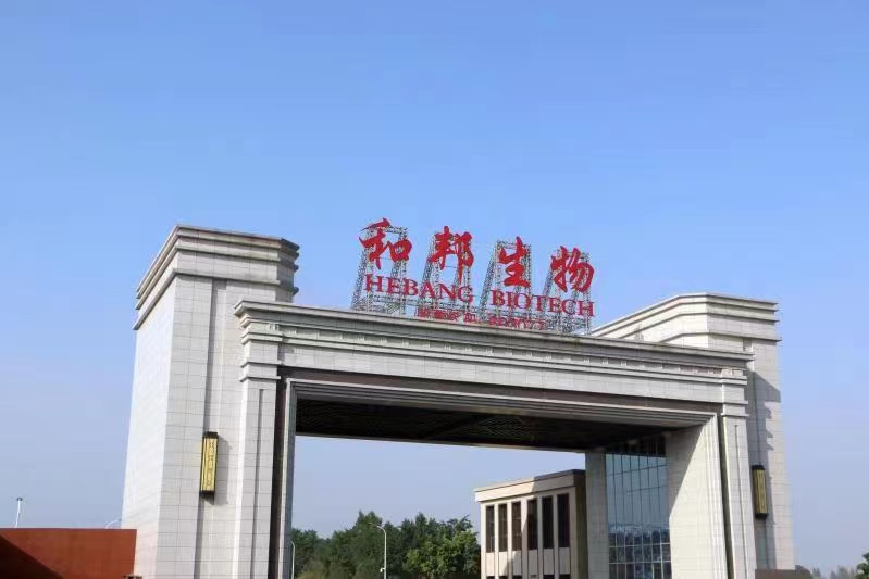 东方红资产管理蒋娜：关注业绩兑现 聚焦成长产业爆发窗口
