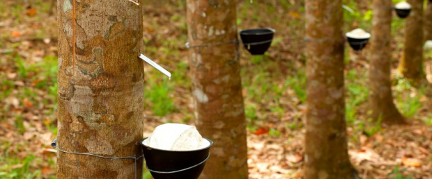 万亿资管巨擘探寻记丨国寿资产:“主航道”上做投资 报国为民当“头雁”