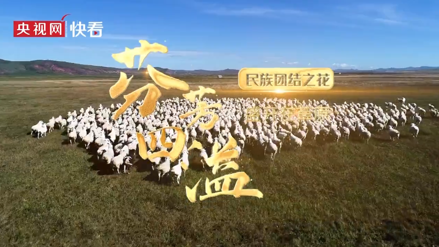 学习新语｜“让民族团结之花开遍天山南北”