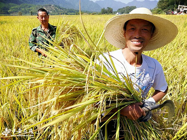 第一观察｜丰收节到来之际，总书记对“三农”工作寄予新期望