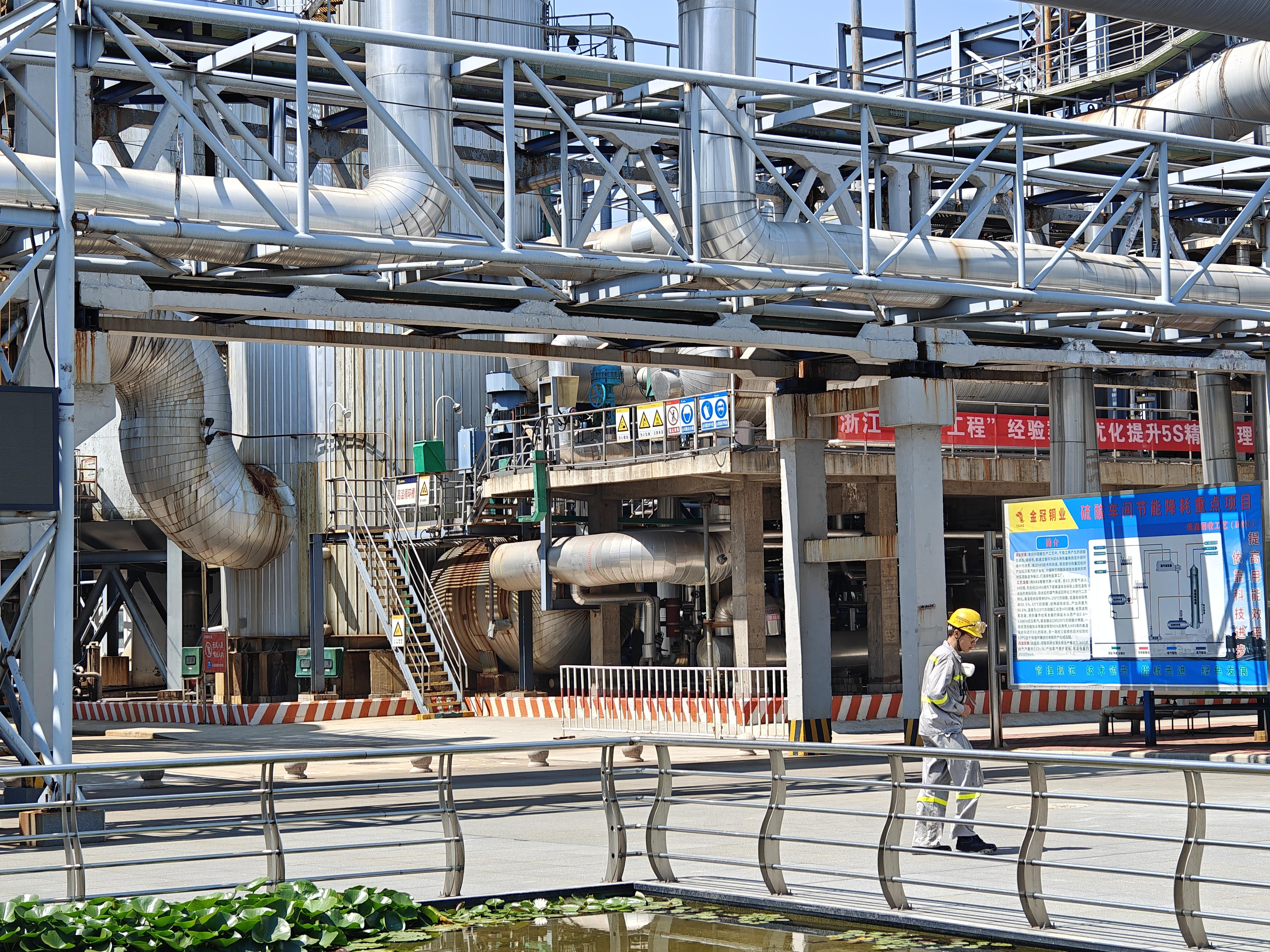 活力中国调研行|从“一粒种子”到“万里海疆” 三亚崖州湾崛起科创新高地