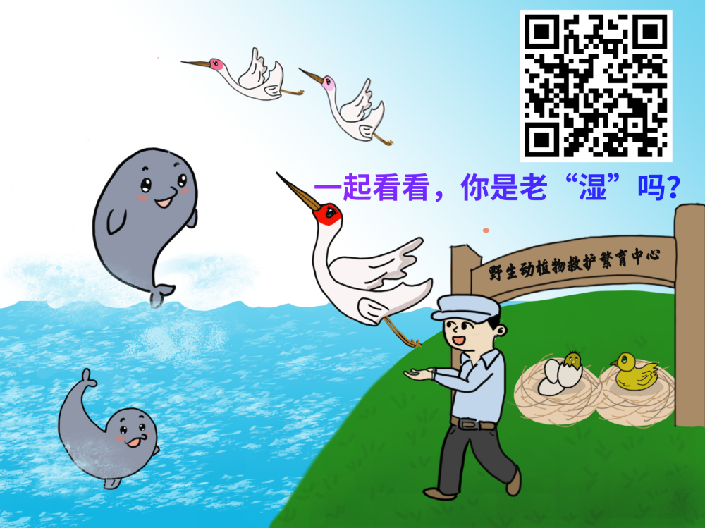 习近平总书记关切事｜释放潜力，增强经济发展的基本动力——扩内需、促消费观察（上篇）