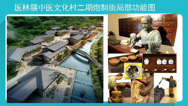 “我是股东”活动走进倍轻松 “中医×科技”解锁智能康养新范式