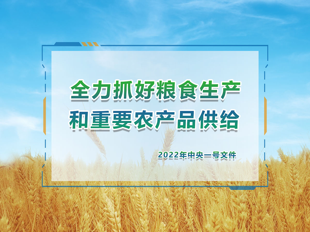 抢！多地连阴雨 争分夺秒保秋粮