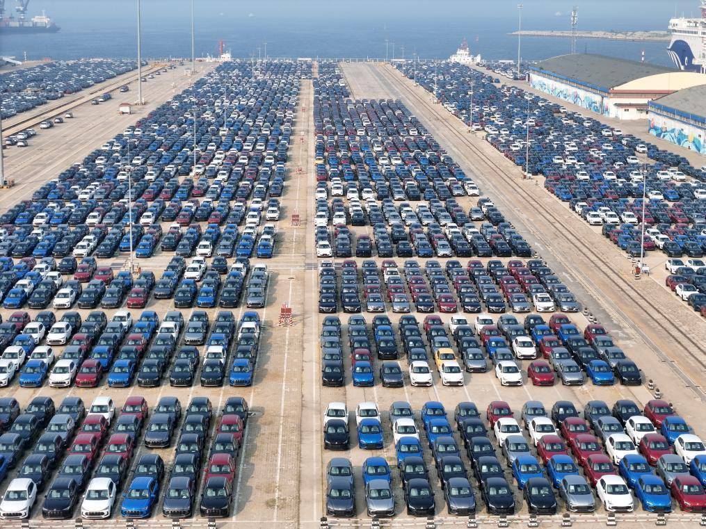 新华鲜报丨破解转化难！专交会交易额累计超百亿元