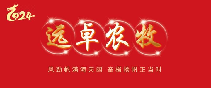 风劲帆满启新程——国际社会瞩目中国绘制发展奋进新蓝图