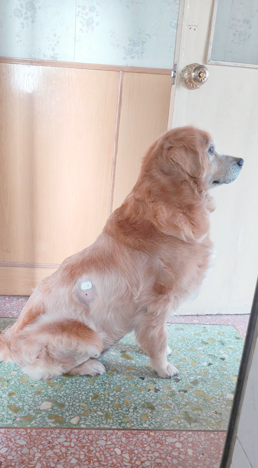 通化东宝:国际化拓展加快推进 门冬胰岛素注射液在印尼获批上市