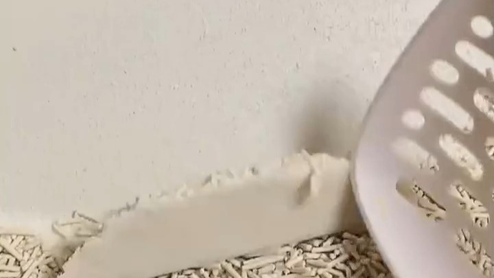 依依股份重磅收购“许翠花”剑指百亿猫砂市场 构筑卫护赛道新护城河