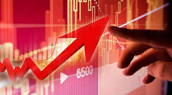 独门重仓股“暗香浮动” 料成基金年度业绩排位赛胜负手