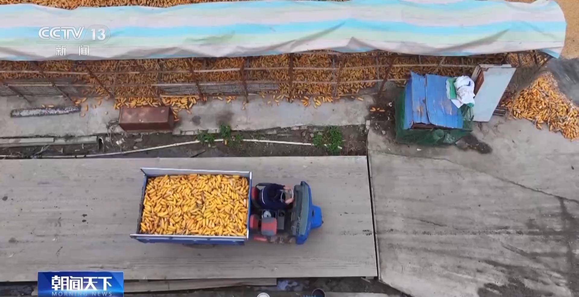 全国秋粮收获过九成 冬小麦播种过两成半